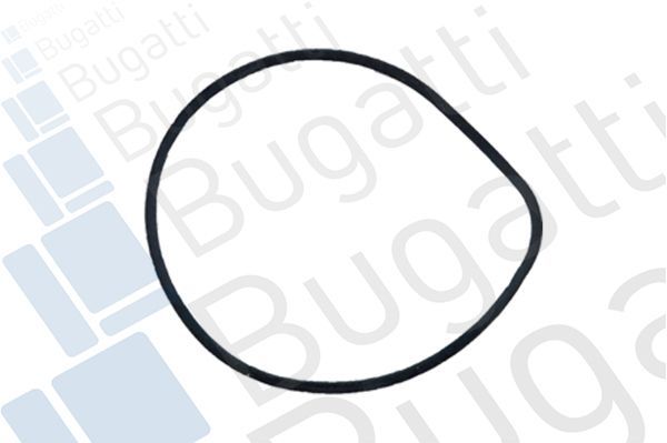 Vandens siurblys, variklio aušinimas BUGATTI PA10022