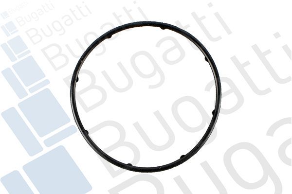 Vandens siurblys, variklio aušinimas BUGATTI PA10027