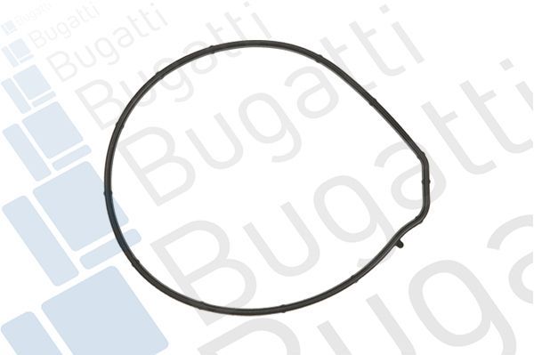 Vandens siurblys, variklio aušinimas BUGATTI PA10028