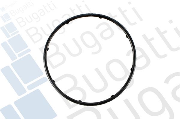 Vandens siurblys, variklio aušinimas BUGATTI PA10031