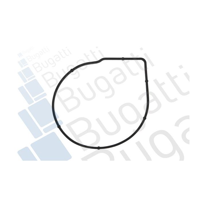 Vandens siurblys, variklio aušinimas BUGATTI PA10033