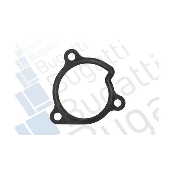 Vandens siurblys, variklio aušinimas BUGATTI PA10056