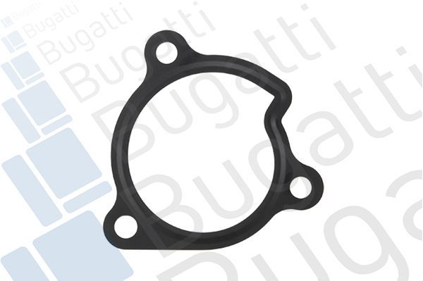 Vandens siurblys, variklio aušinimas BUGATTI PA10056