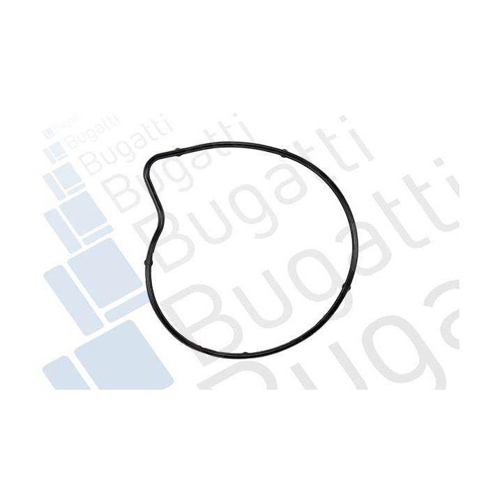 Vandens siurblys, variklio aušinimas BUGATTI PA10064