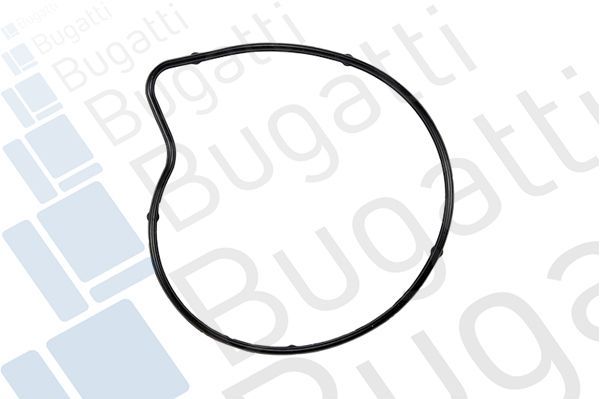 Vandens siurblys, variklio aušinimas BUGATTI PA10064