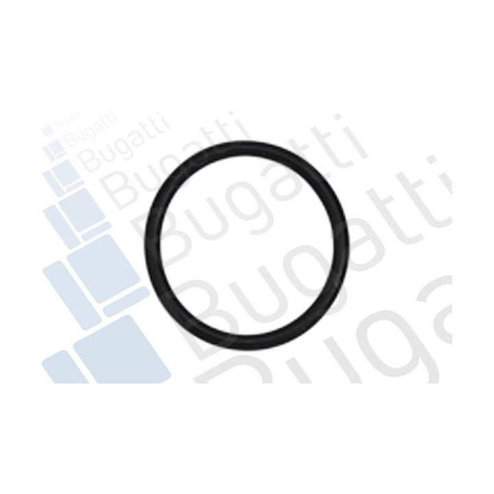 Vandens siurblys, variklio aušinimas BUGATTI PA10085