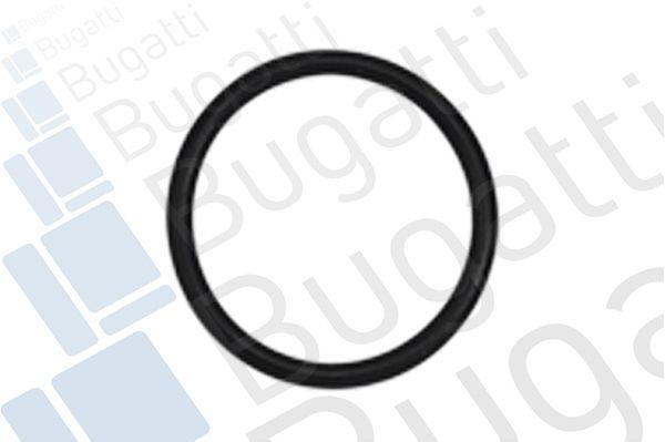 Vandens siurblys, variklio aušinimas BUGATTI PA10085