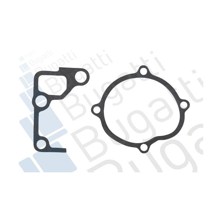 Vandens siurblys, variklio aušinimas BUGATTI PA10091