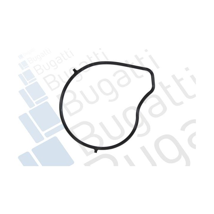 Vandens siurblys, variklio aušinimas BUGATTI PA10092