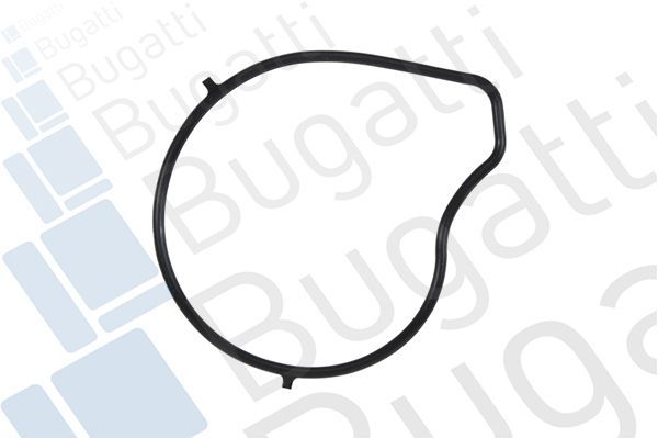 Vandens siurblys, variklio aušinimas BUGATTI PA10092