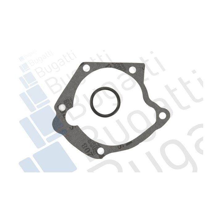 Vandens siurblys, variklio aušinimas BUGATTI PA10101