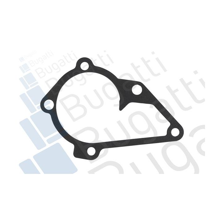 Vandens siurblys, variklio aušinimas BUGATTI PA10102