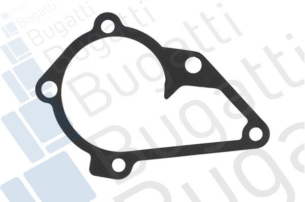 Vandens siurblys, variklio aušinimas BUGATTI PA10102