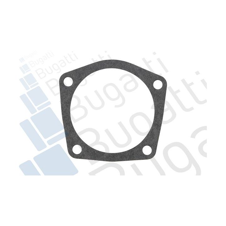 Vandens siurblys, variklio aušinimas BUGATTI PA10120