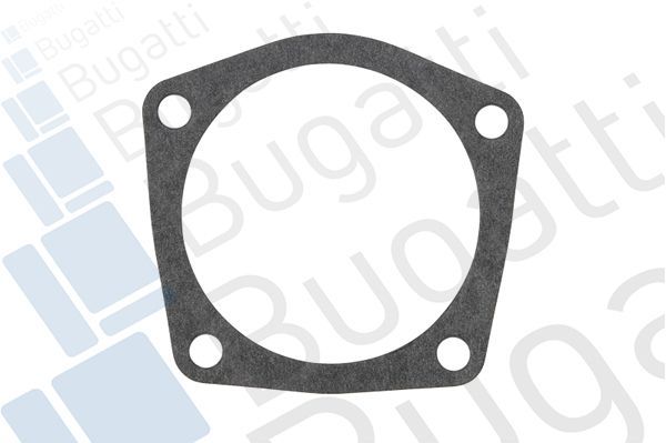 Vandens siurblys, variklio aušinimas BUGATTI PA10120