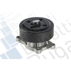 Vandens siurblys, variklio aušinimas BUGATTI PA10200