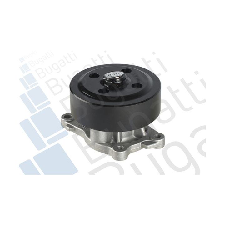 Vandens siurblys, variklio aušinimas BUGATTI PA10200