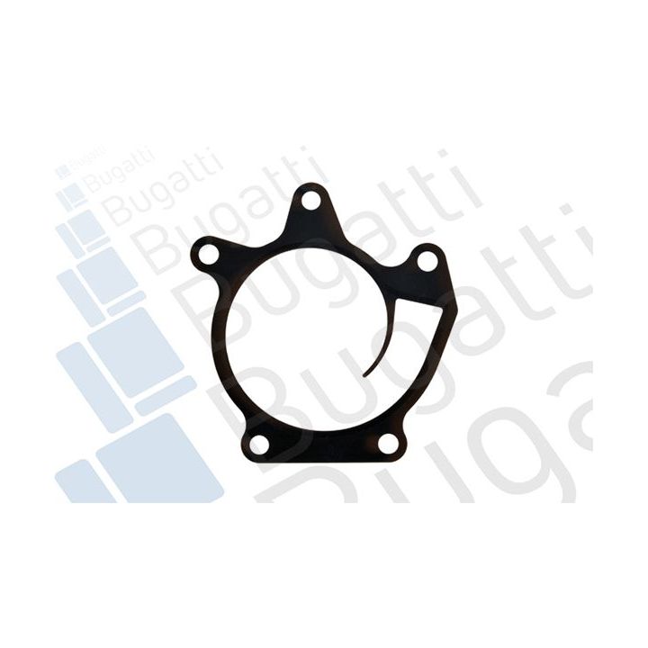 Vandens siurblys, variklio aušinimas BUGATTI PA10201