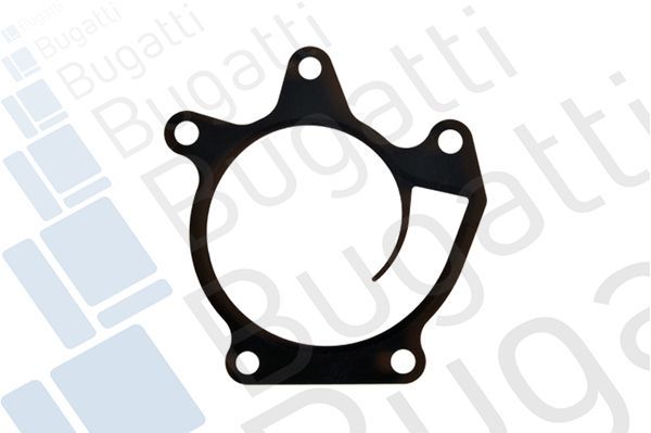 Vandens siurblys, variklio aušinimas BUGATTI PA10201