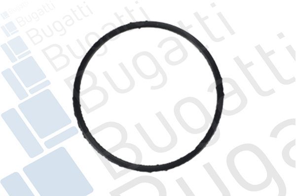 Vandens siurblys, variklio aušinimas BUGATTI PA10213