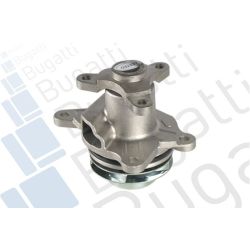 Vandens siurblys, variklio aušinimas BUGATTI PA10216