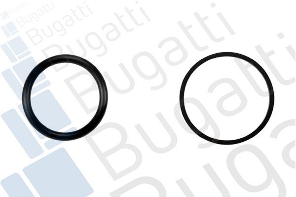 Vandens siurblys, variklio aušinimas BUGATTI PA10234