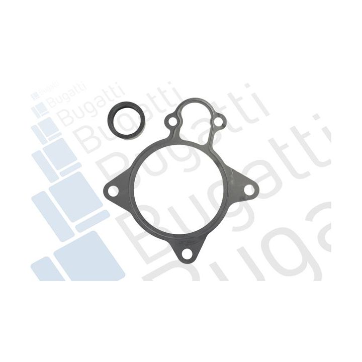 Vandens siurblys, variklio aušinimas BUGATTI PA10257