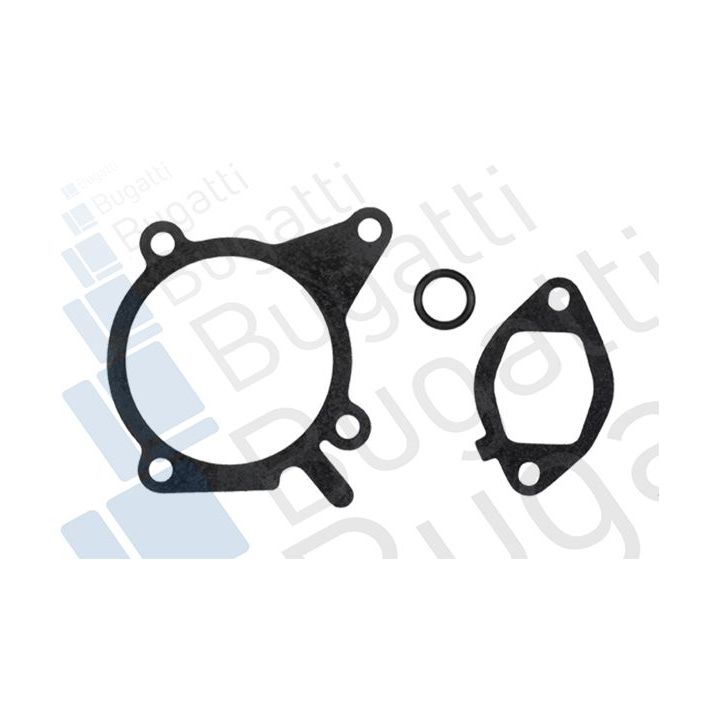 Vandens siurblys, variklio aušinimas BUGATTI PA10279