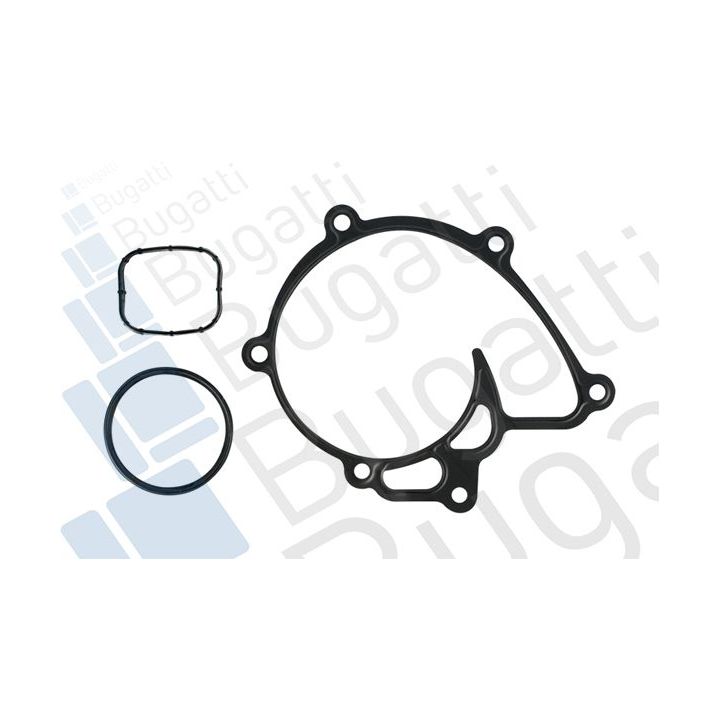 Vandens siurblys, variklio aušinimas BUGATTI PA10289