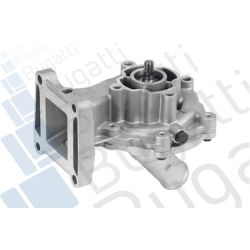 Vandens siurblys, variklio aušinimas BUGATTI PA10298