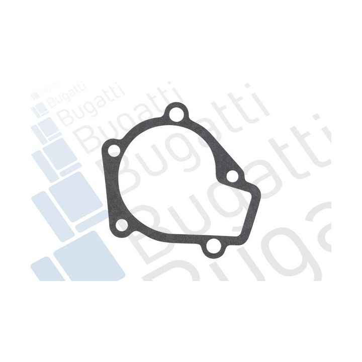 Vandens siurblys, variklio aušinimas BUGATTI PA10304