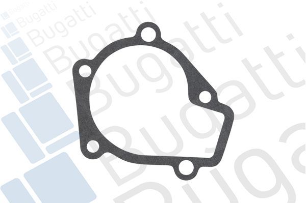 Vandens siurblys, variklio aušinimas BUGATTI PA10304