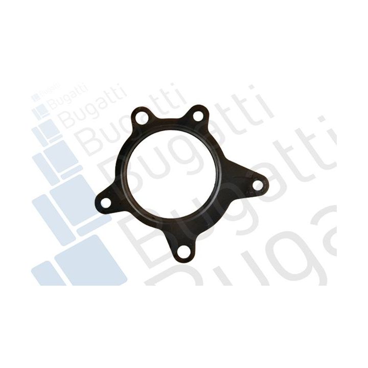 Vandens siurblys, variklio aušinimas BUGATTI PA10310