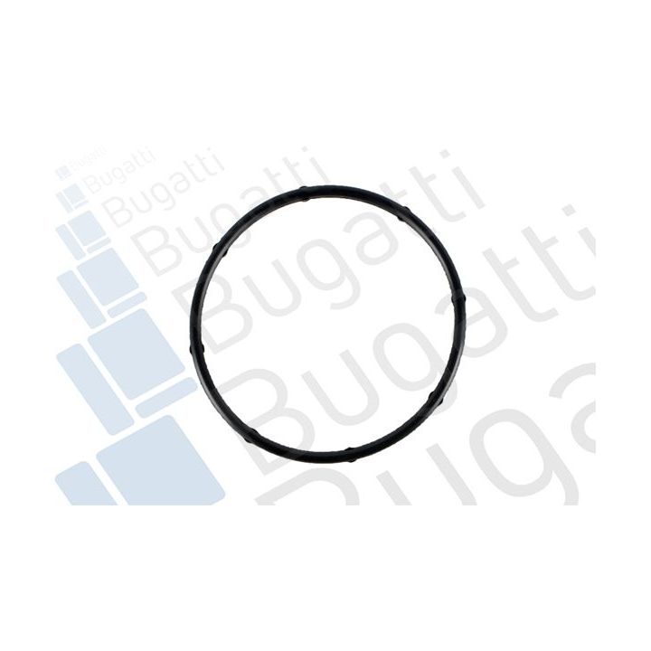 Vandens siurblys, variklio aušinimas BUGATTI PA10311