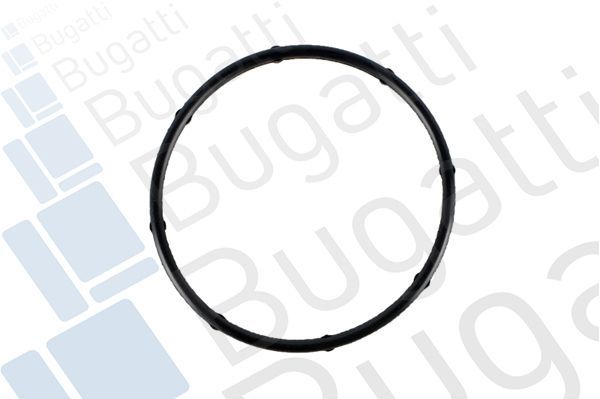 Vandens siurblys, variklio aušinimas BUGATTI PA10311