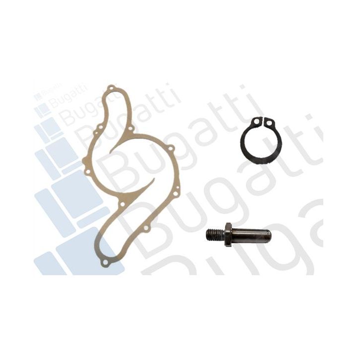 Vandens siurblys, variklio aušinimas BUGATTI PA10331A