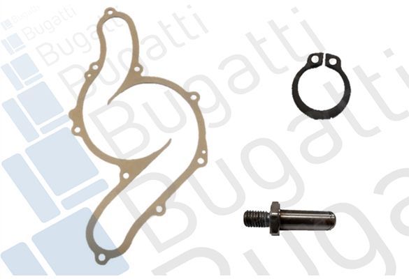 Vandens siurblys, variklio aušinimas BUGATTI PA10331A