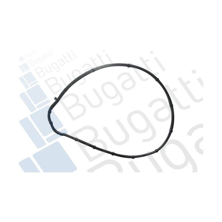 Vandens siurblys, variklio aušinimas BUGATTI PA10347