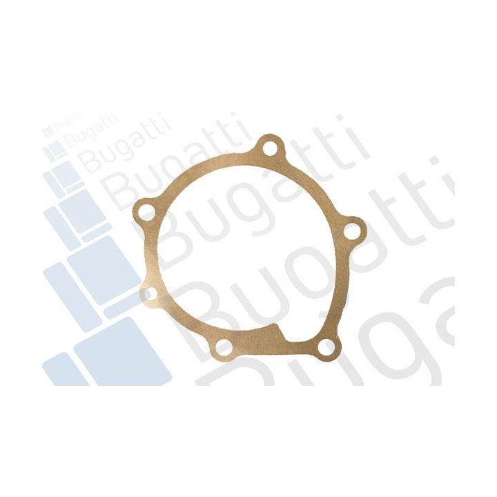 Vandens siurblys, variklio aušinimas BUGATTI PA10364