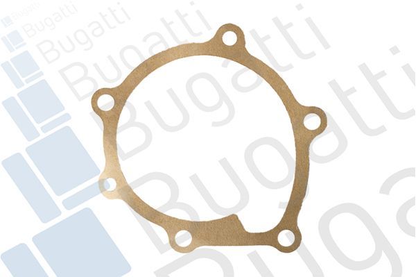 Vandens siurblys, variklio aušinimas BUGATTI PA10364