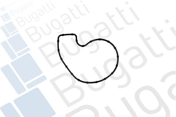 Vandens siurblys, variklio aušinimas BUGATTI PA10372