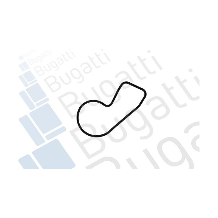 Vandens siurblys, variklio aušinimas BUGATTI PA10391