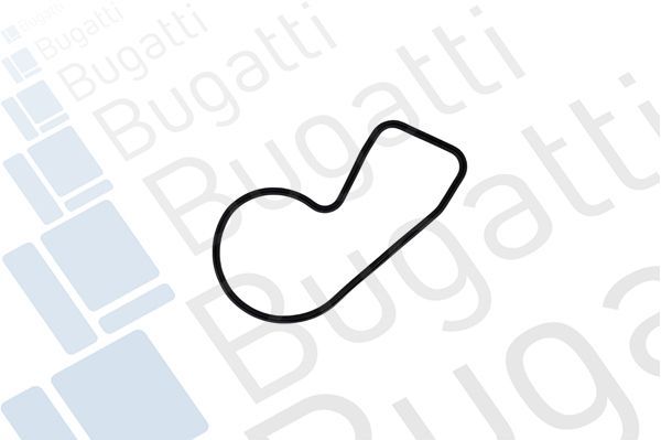 Vandens siurblys, variklio aušinimas BUGATTI PA10391