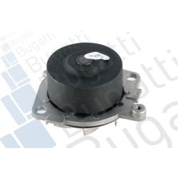 Vandens siurblys, variklio aušinimas BUGATTI PA5009