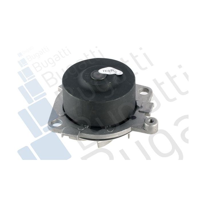 Vandens siurblys, variklio aušinimas BUGATTI PA5009