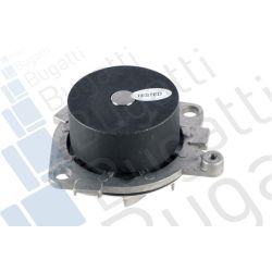 Vandens siurblys, variklio aušinimas BUGATTI PA5010