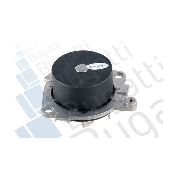 Vandens siurblys, variklio aušinimas BUGATTI PA5010