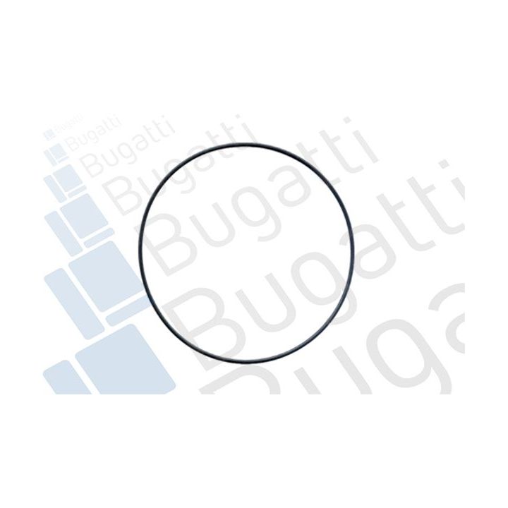 Vandens siurblys, variklio aušinimas BUGATTI PA5010