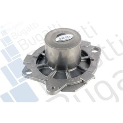 Vandens siurblys, variklio aušinimas BUGATTI PA5013