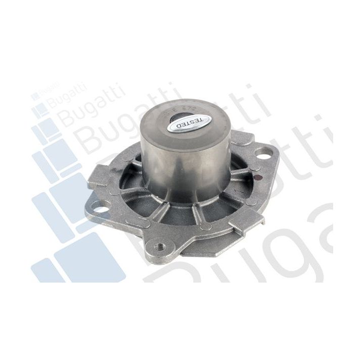 Vandens siurblys, variklio aušinimas BUGATTI PA5013